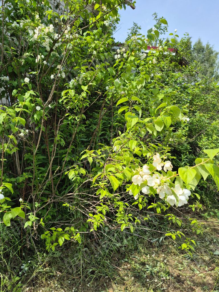 Продажа дома, 130м <sup>2</sup>, 11 сот., Погорельцы