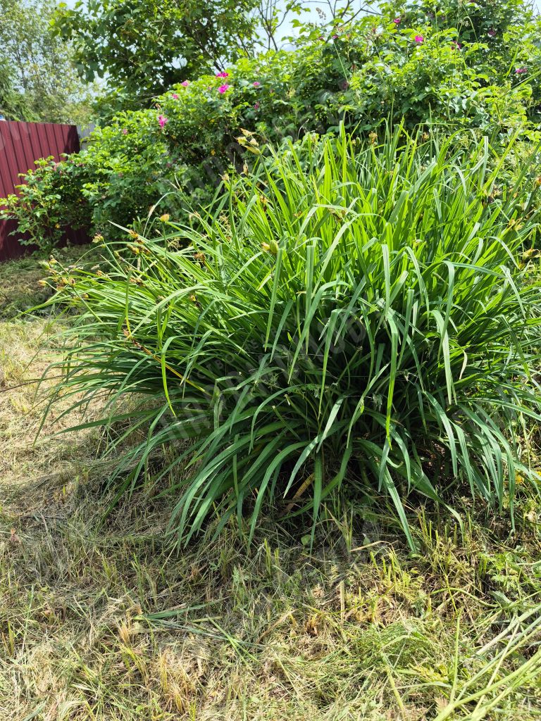 Продажа дома, 130м <sup>2</sup>, 11 сот., Погорельцы