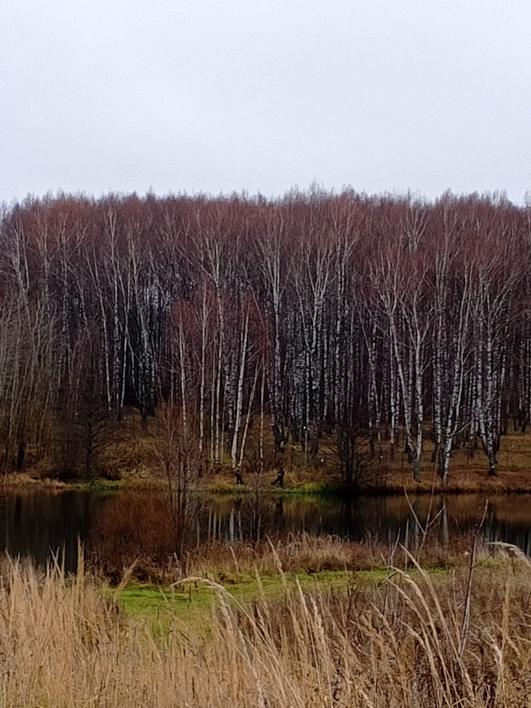 Продажа участка, Килелей, Ромашковая