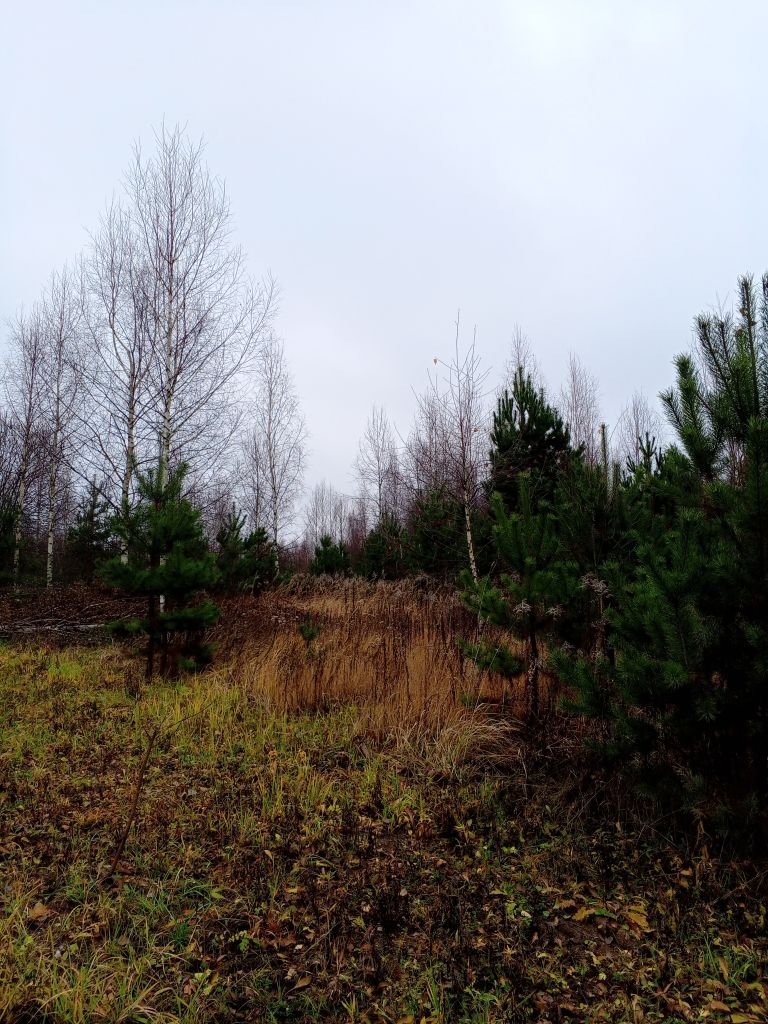 Продажа участка, Килелей, Ромашковая