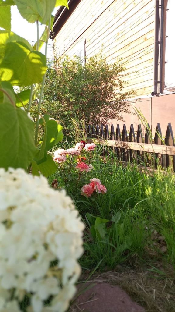 Продажа дачи, 81м <sup>2</sup>, 14 сот., Яблоново, Луговая,  4