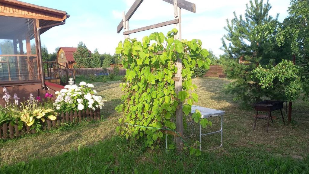 Продажа дачи, 81м <sup>2</sup>, 14 сот., Яблоново, Луговая,  4