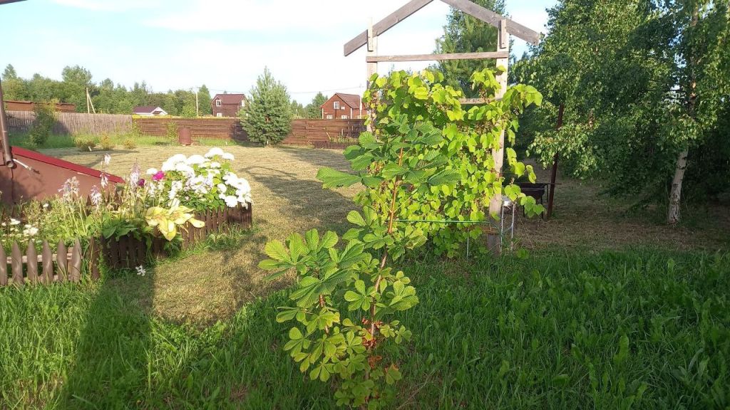 Продажа дачи, 81м <sup>2</sup>, 14 сот., Яблоново, Луговая,  4