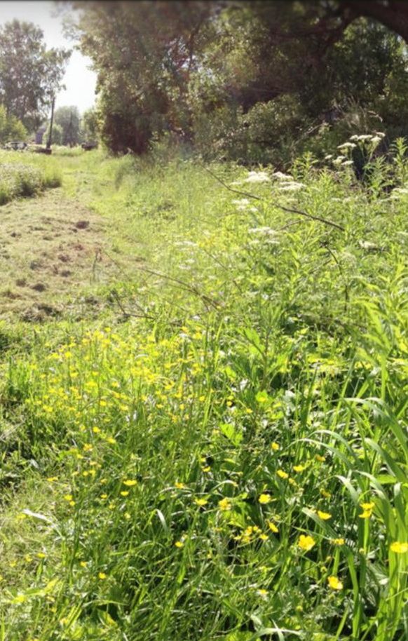 Продажа участка, Григорково