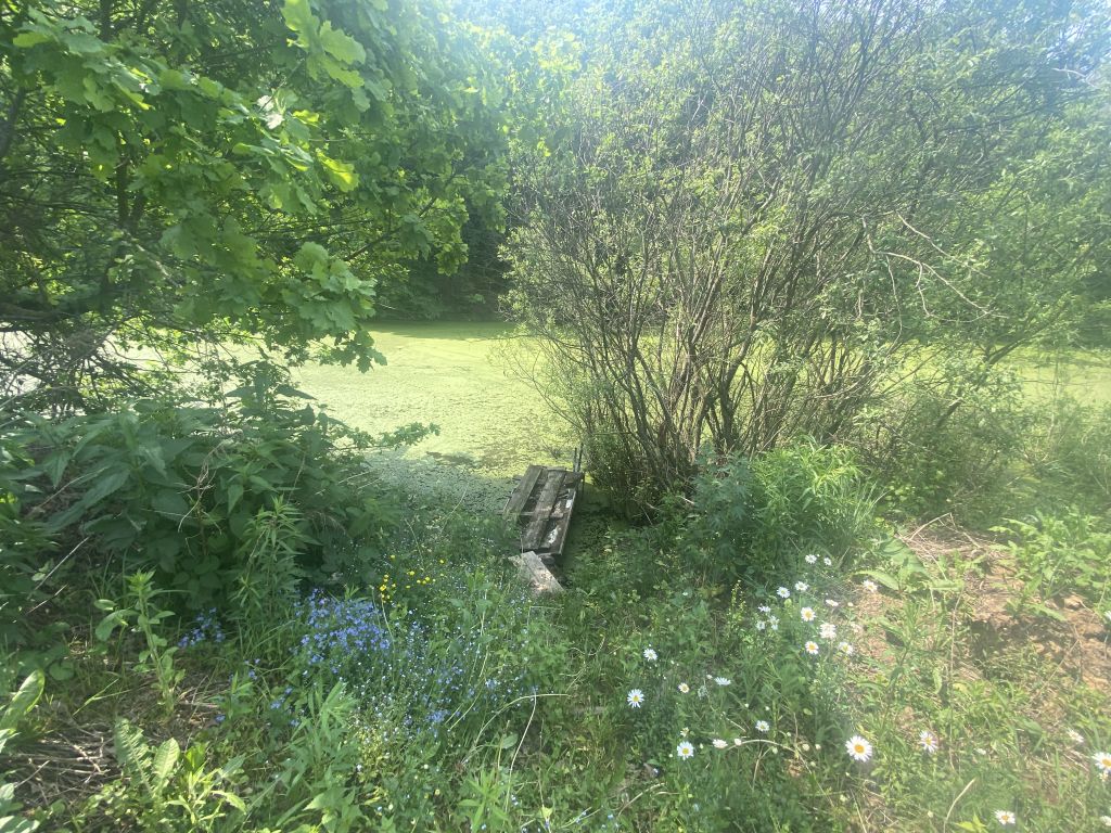 Продажа дачи, 60м <sup>2</sup>, 9 сот., Костомарово