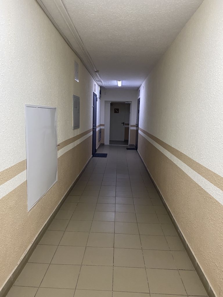 Продажа 1-комнатной квартиры, Нижний Новгород, Московское шоссе,  167к1