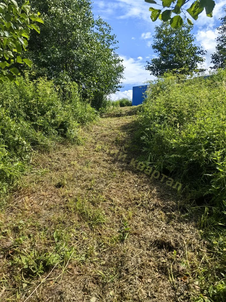 Продажа участка, Бушово