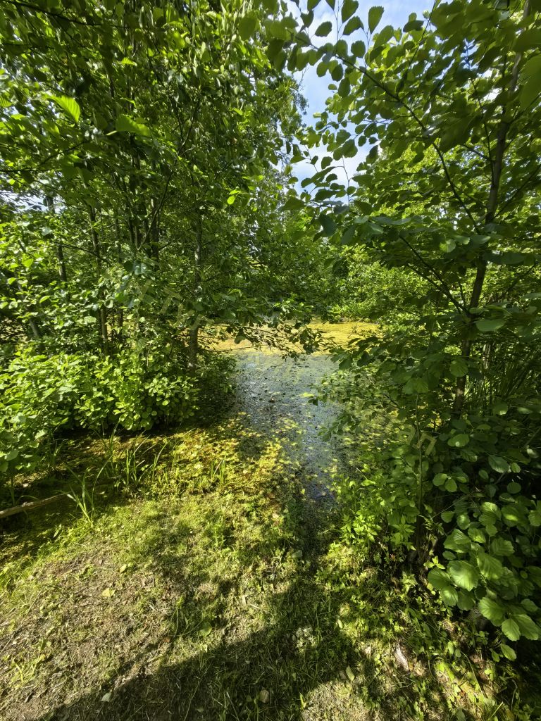 Продажа участка, Бушово