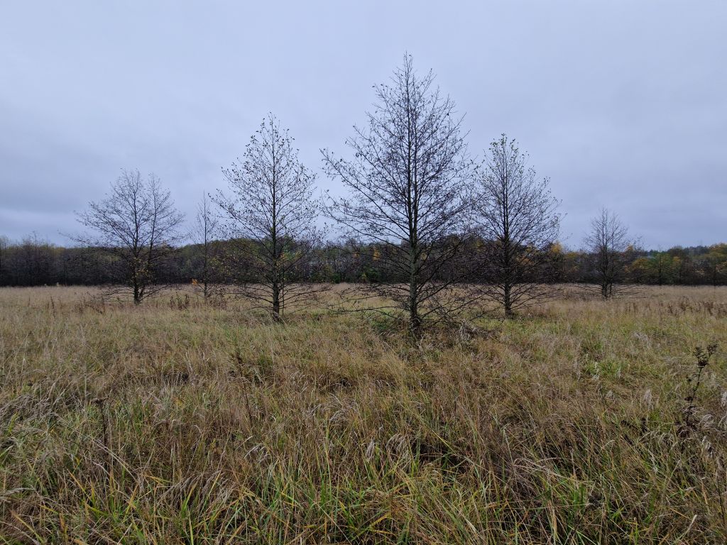 Продажа участка, Уварово, 2-й Уваровский пр-д