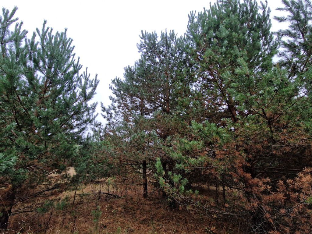 Продажа участка, Уварово, 2-й Уваровский пр-д