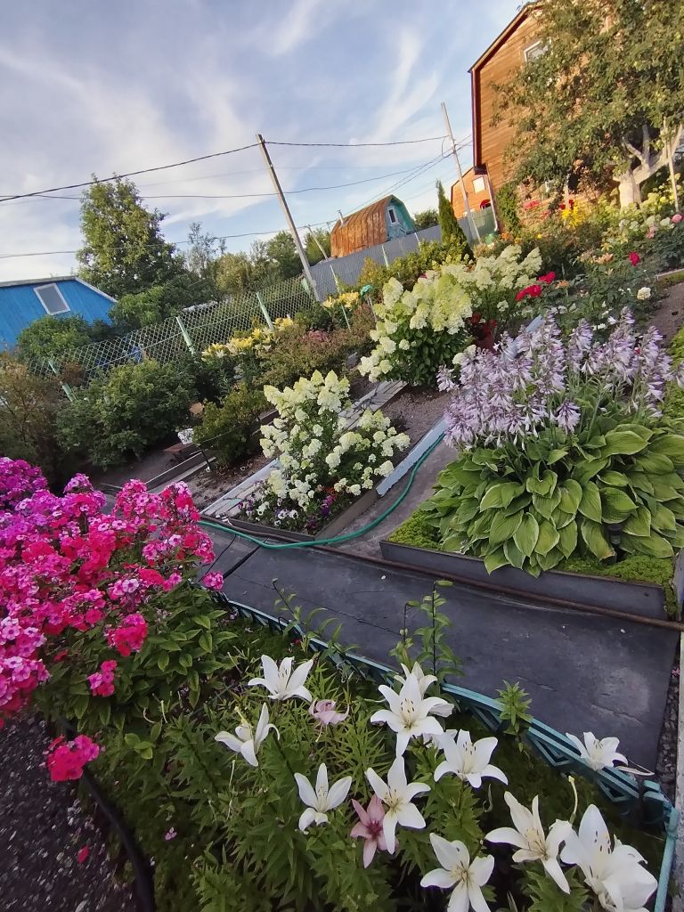 Продажа дачи, 50м <sup>2</sup>, 6 сот., Нижний Новгород, СНТ Надежда