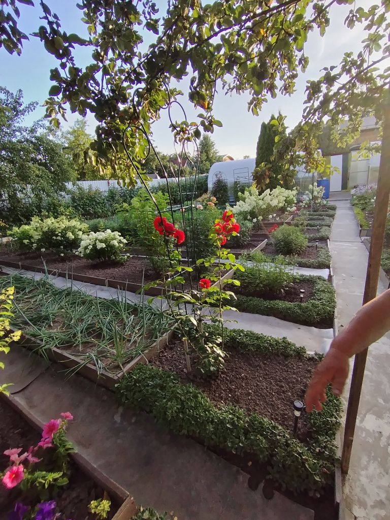 Продажа дачи, 50м <sup>2</sup>, 6 сот., Нижний Новгород, СНТ Надежда