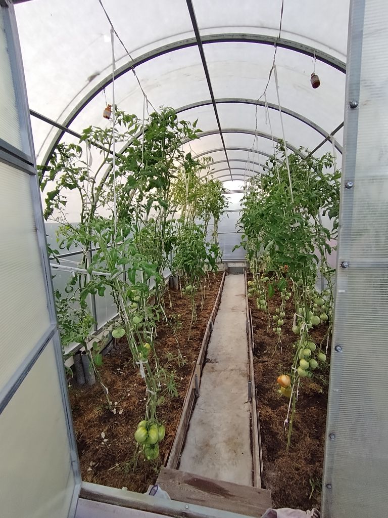 Продажа дачи, 50м <sup>2</sup>, 6 сот., Нижний Новгород, СНТ Надежда