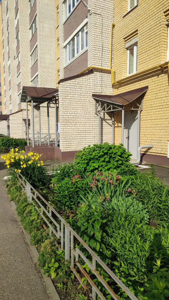 Продажа 1-комнатной квартиры, Кострома, Магистральная ул,  12к1