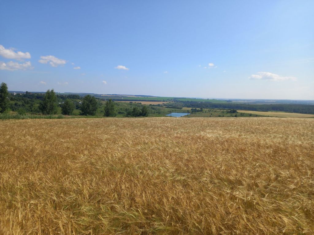 Продажа участка, Румянцево, Зеленая,  18