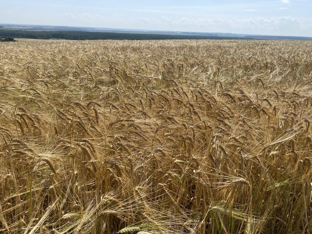 Продажа участка, Румянцево, Зеленая,  18