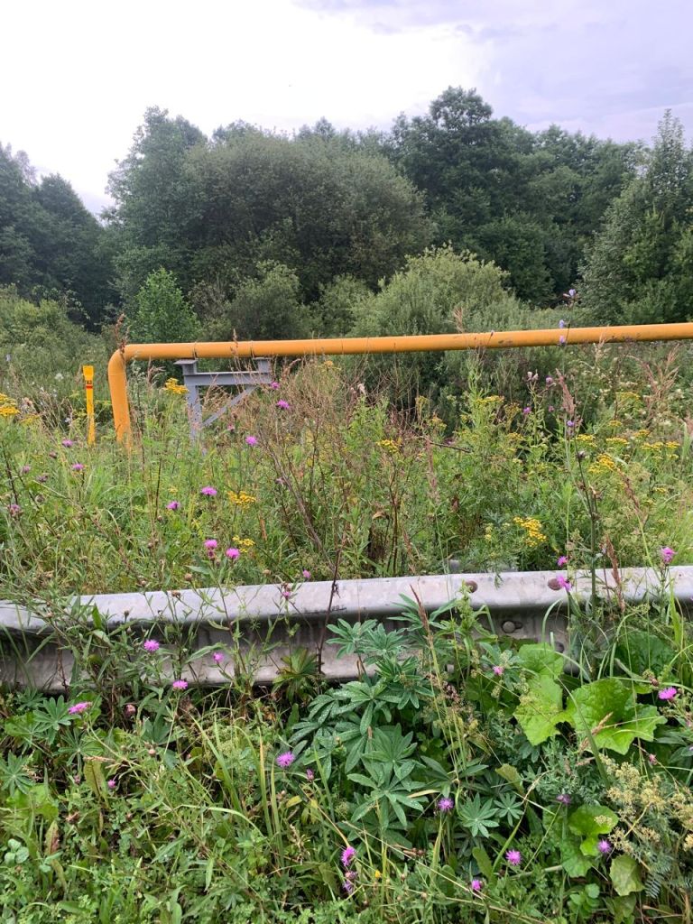 Продажа участка, Беркино,  80