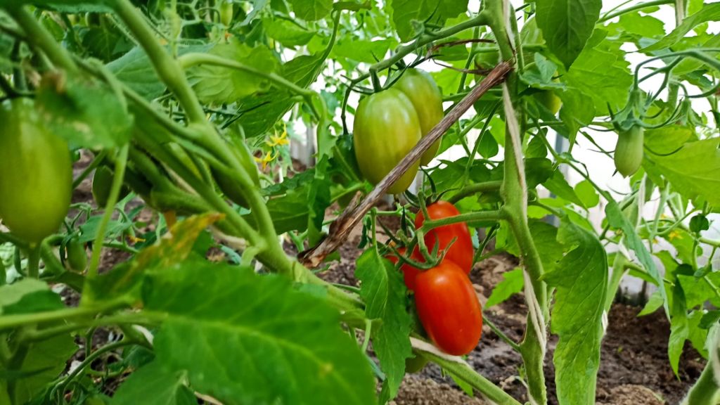 Продажа дома, 407м <sup>2</sup>, 11 сот., Фанерник, А.Калашникова Улица