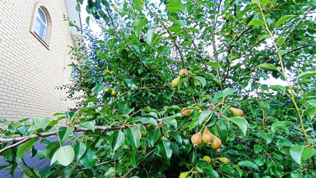 Продажа дома, 407м <sup>2</sup>, 11 сот., Фанерник, А.Калашникова Улица