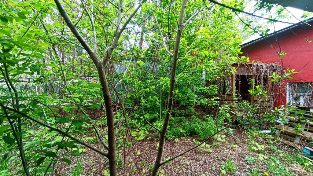 Продажа коммерческой недвижимости, 73м <sup>2</sup>, Кострома, Нижняя Дебря ул,  39