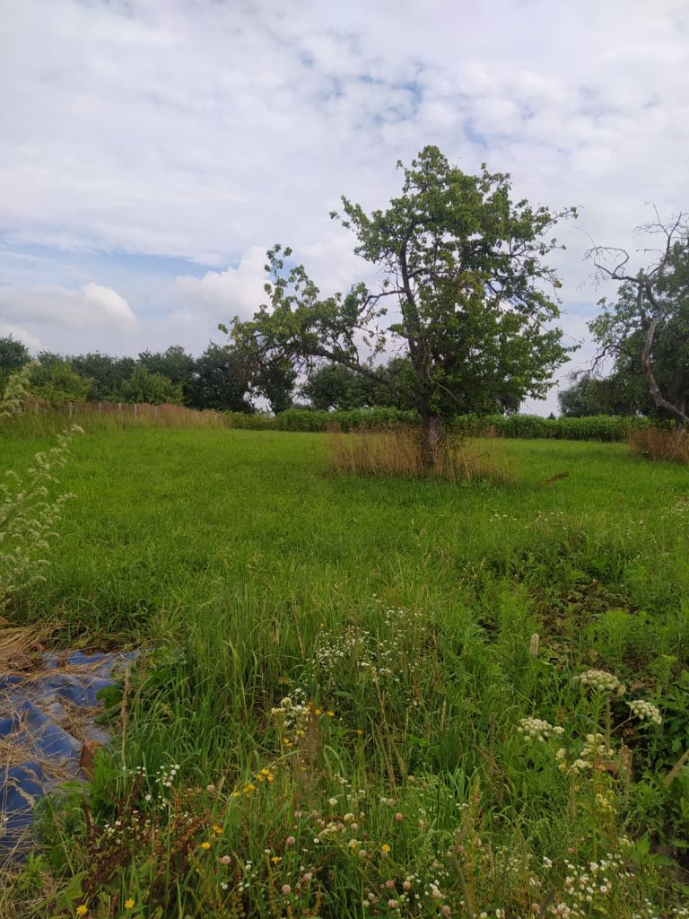 Продажа дома, 68м <sup>2</sup>, 25 сот., Мурыгино, Центральная,  30