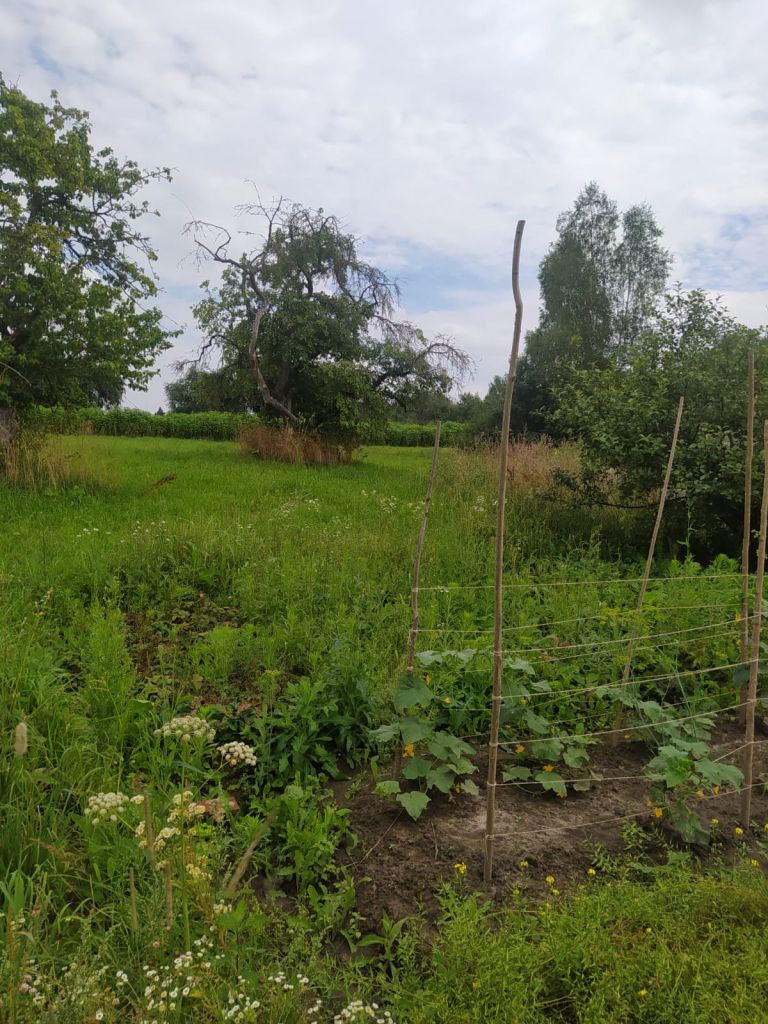 Продажа дома, 68м <sup>2</sup>, 25 сот., Мурыгино, Центральная,  30