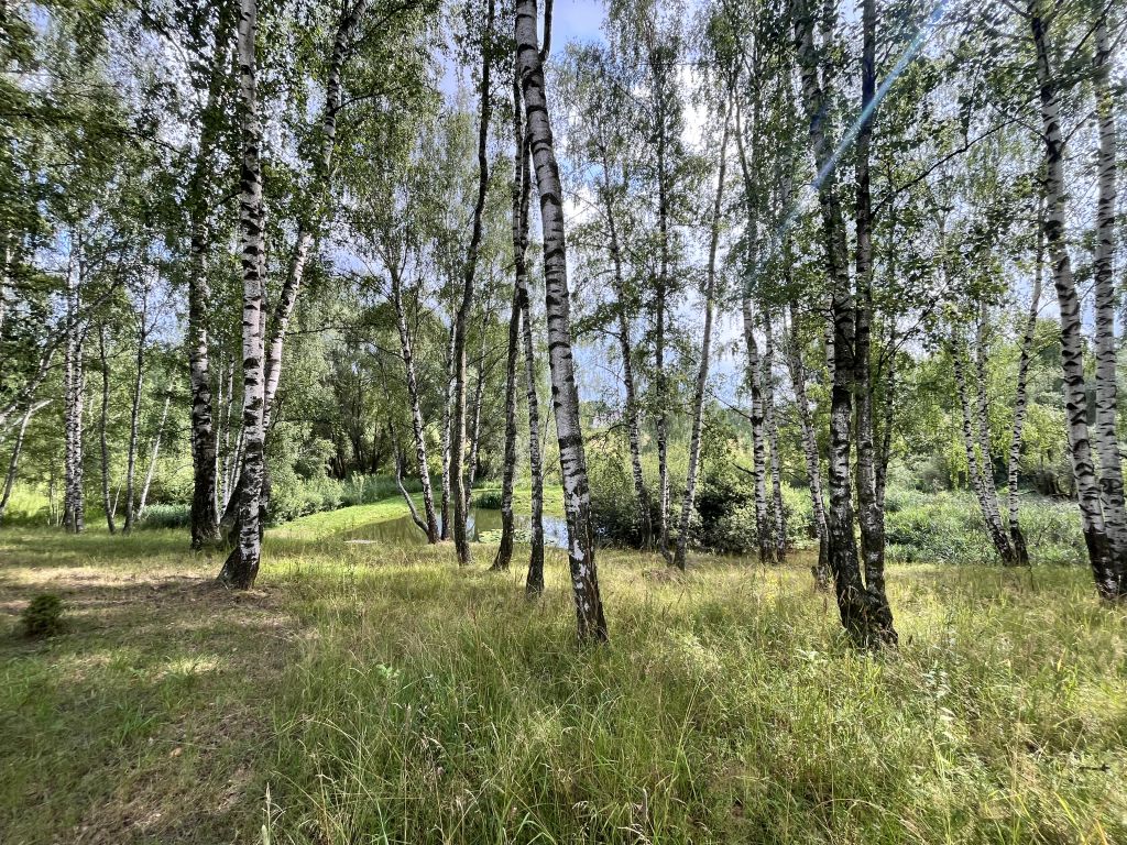 Продажа дачи, 60м <sup>2</sup>, 18 сот., Чаглава, Озерная,  2