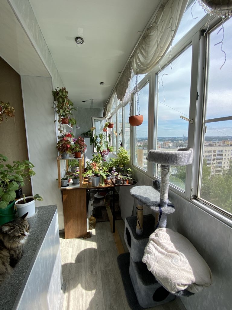 Продажа 2-комнатной квартиры, Кострома, Самоковская ул,  3