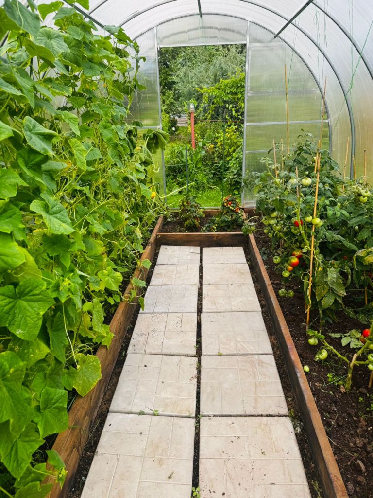 Продажа дачи, 85м <sup>2</sup>, 6 сот., Лесная поляна