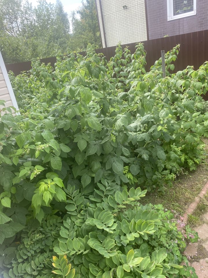 Продажа дома, 80м <sup>2</sup>, 5 сот., Нижний Новгород, Нагулино пос,  488