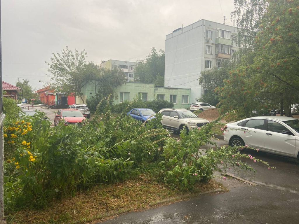 Продажа 3-комнатной квартиры, Кострома, Шагова ул,  150б