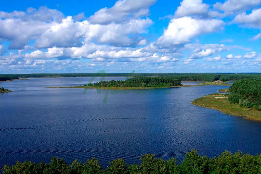 Продажа участка, Заселье