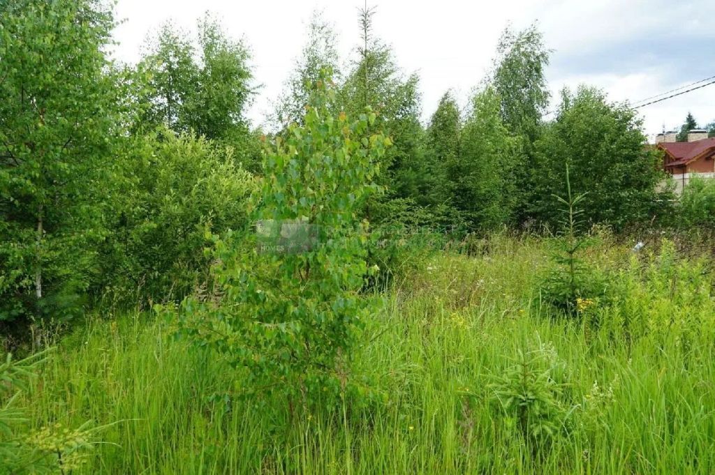 Продажа участка, Заселье