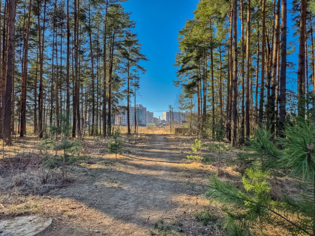 Продажа дома, 250м <sup>2</sup>, 5 сот., Алешково, Хвойная