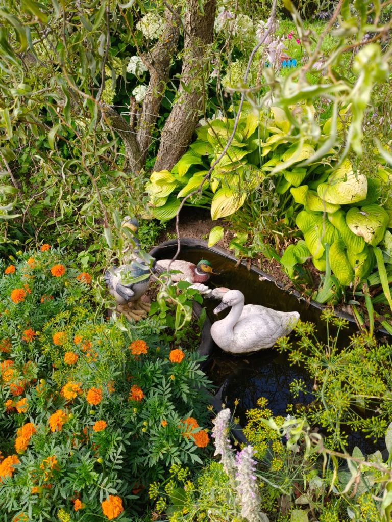 Продажа дома, 48м <sup>2</sup>, 25 сот., Пальцево