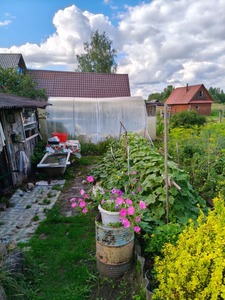 Продажа дома, 48м <sup>2</sup>, 25 сот., Пальцево