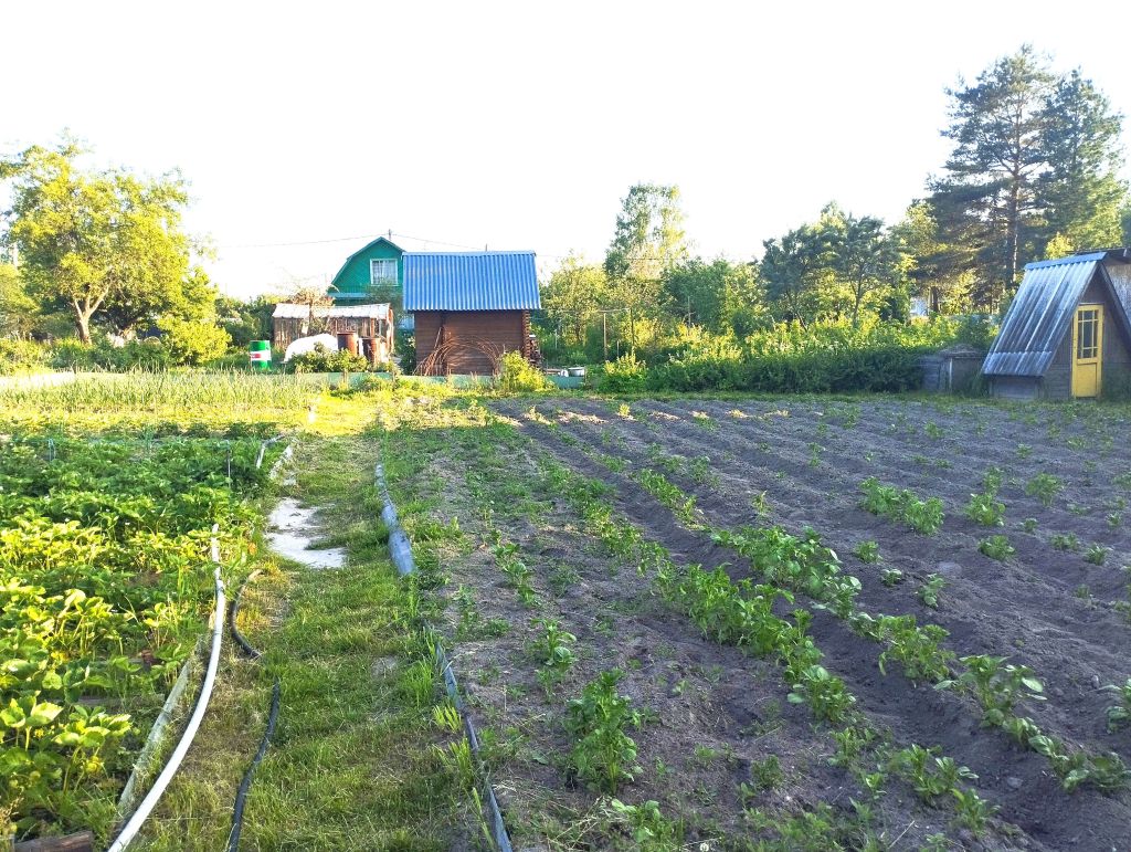 Продажа дачи, 20м <sup>2</sup>, 9 сот., Костромская