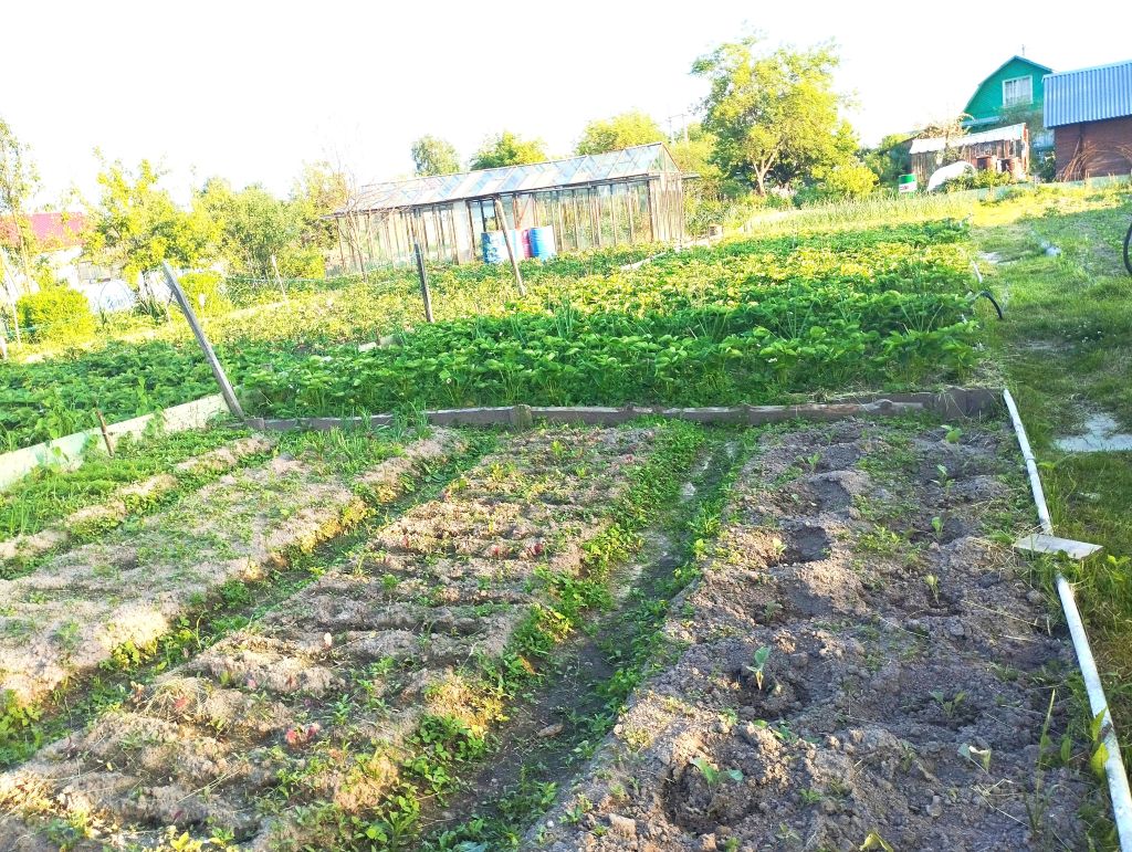 Продажа дачи, 20м <sup>2</sup>, 9 сот., Костромская