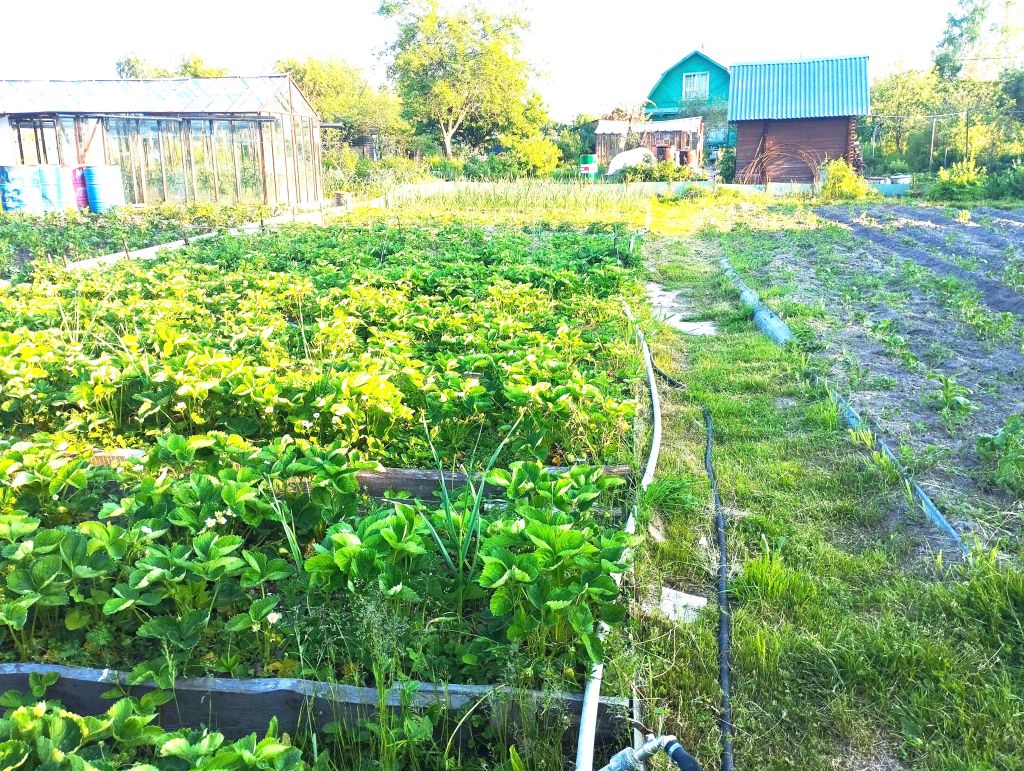 Продажа дачи, 20м <sup>2</sup>, 9 сот., Костромская