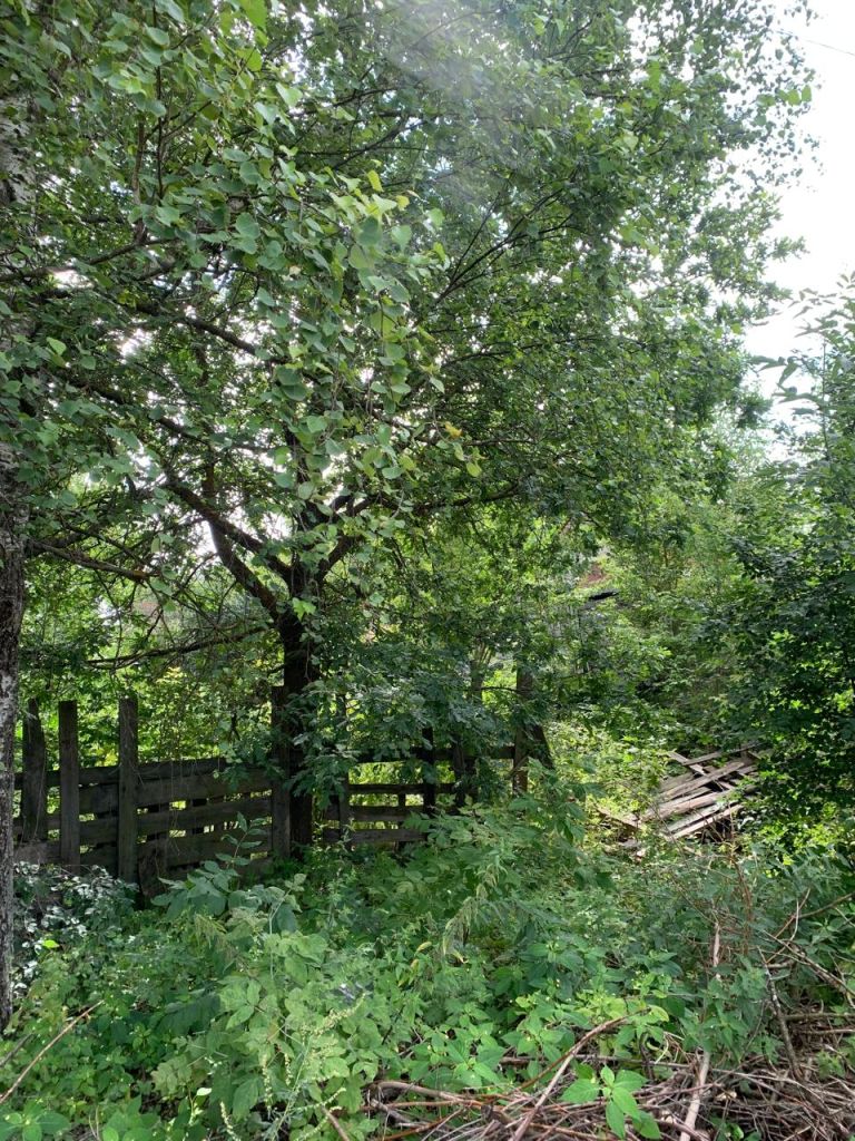 Продажа участка, Иваново, 14-я линия,  46/15