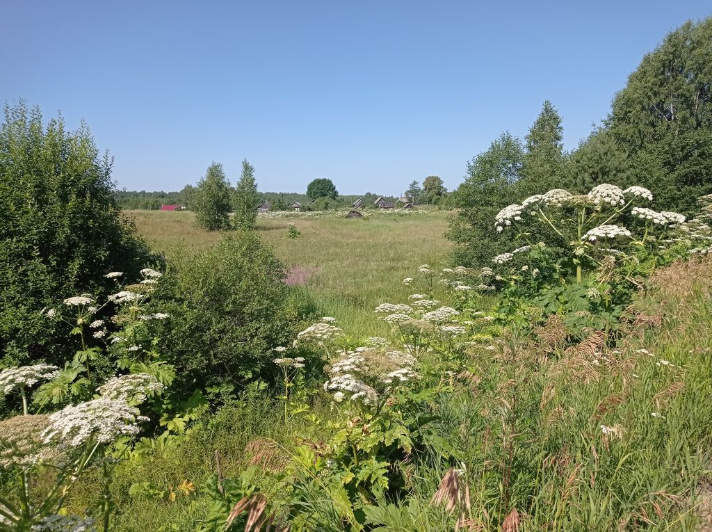 Продажа участка, Болтино,  37:15:040312:28