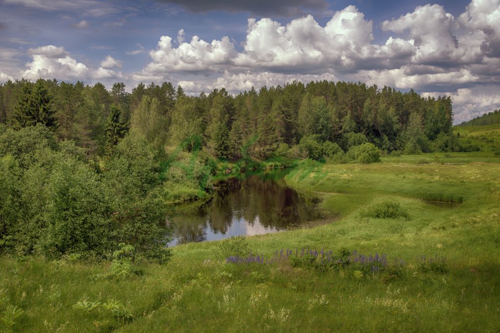 Продажа участка, Барское Александрово