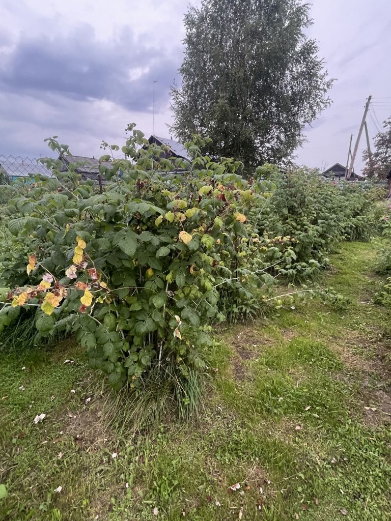 Продажа дачи, 78м <sup>2</sup>, 6 сот., Макариха, Советская,  41