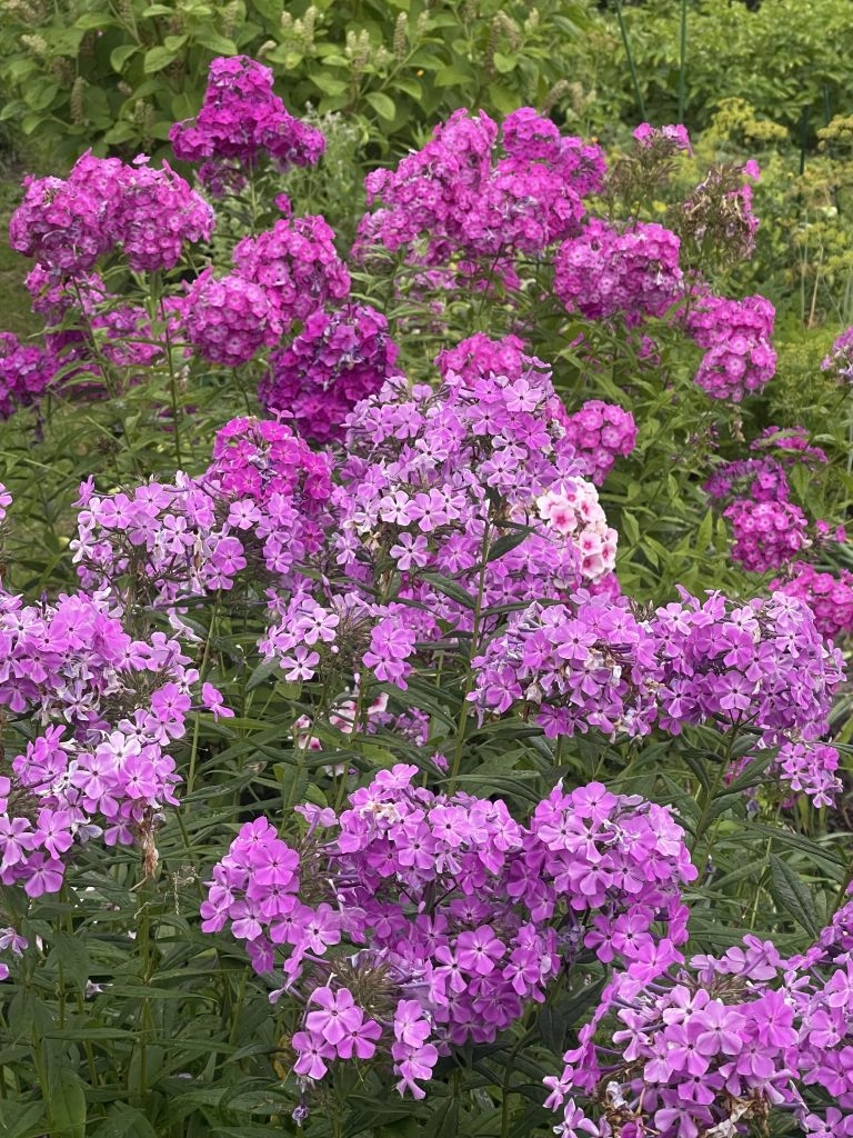 Продажа дачи, 78м <sup>2</sup>, 6 сот., Макариха, Советская,  41