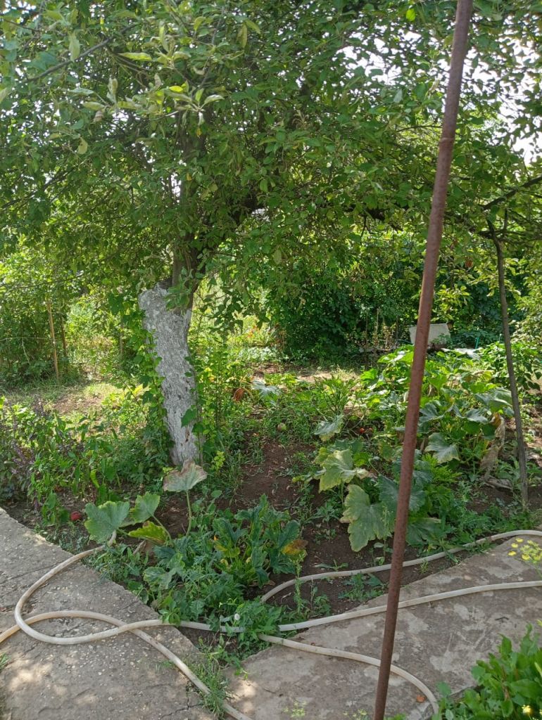 Продажа дачи, 30м <sup>2</sup>, 4 сот., Саратовская, Снт Роса 