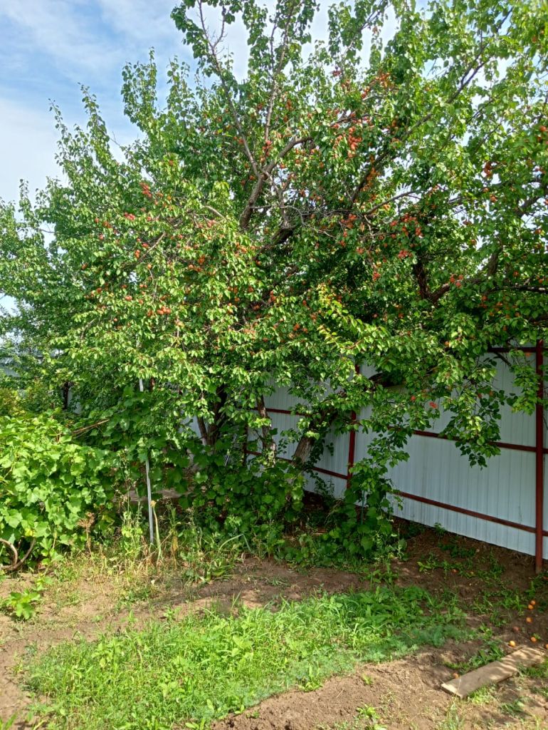 Продажа дачи, 30м <sup>2</sup>, 4 сот., Саратовская, Снт Роса 