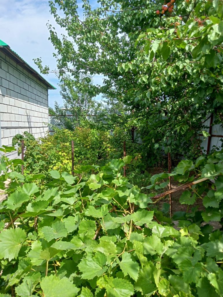 Продажа дачи, 30м <sup>2</sup>, 4 сот., Саратовская, Снт Роса 