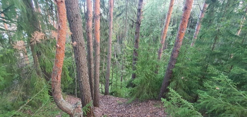 Продажа дома, 1000м <sup>2</sup>, 750 сот., Подушкино