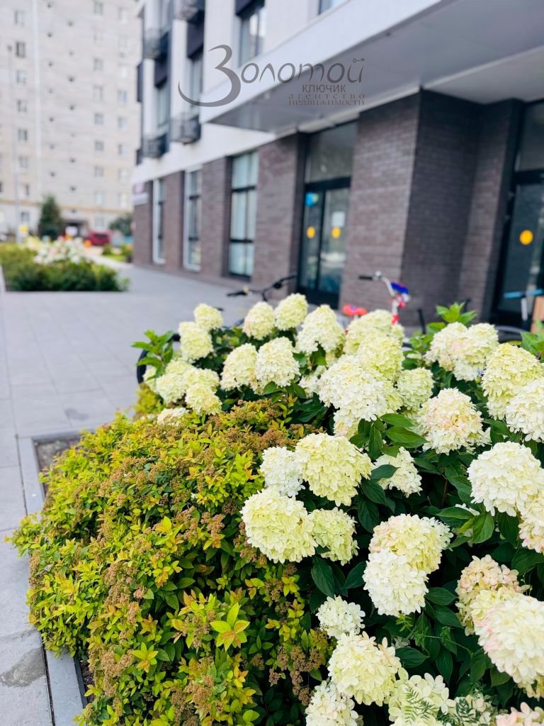 Продажа 1-комнатной квартиры, Нижний Новгород, Маковского ул,  25