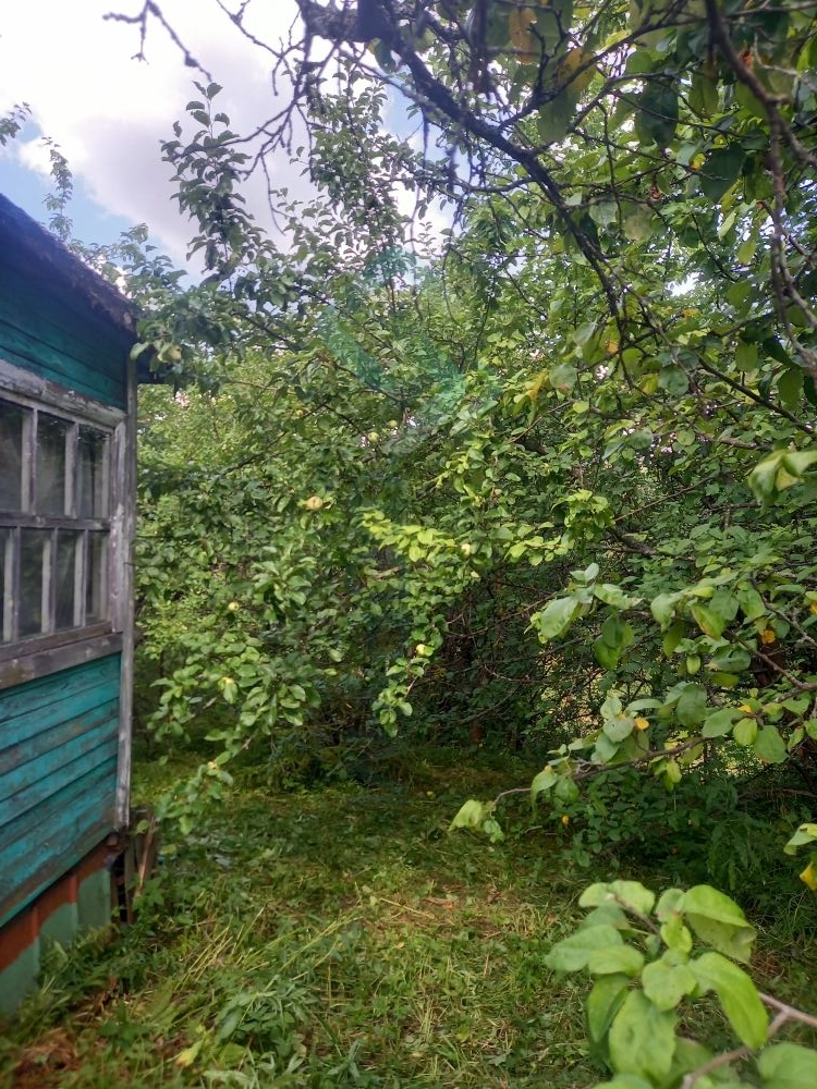 Продажа дачи, 37м <sup>2</sup>, 8 сот., Нижний Новгород, СНТ Дружба,  726